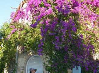 为了不再忘却的纪念--土耳其心醉神迷（伊斯坦布尔，卡帕多奇亚，费特希耶，阿拉恰特，伊兹密尔顺时针环行记）