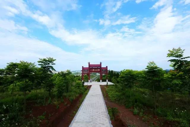 渠县有几个旅游公园,渠县文峰山公园七彩花田
