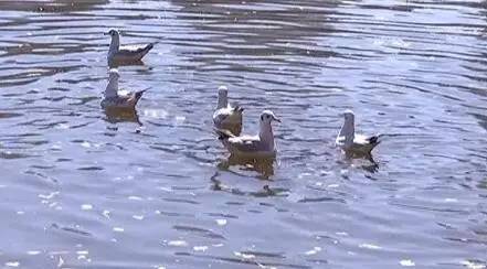 沪昆铁路贵阳到昆明段,沪昆高铁昆明到贵阳