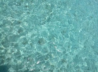 马尔代夫旅行回忆,马尔代夫经济型岛屿