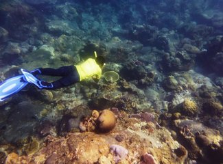 热浪岛当地旅游团,热浪岛浪中岛双岛游