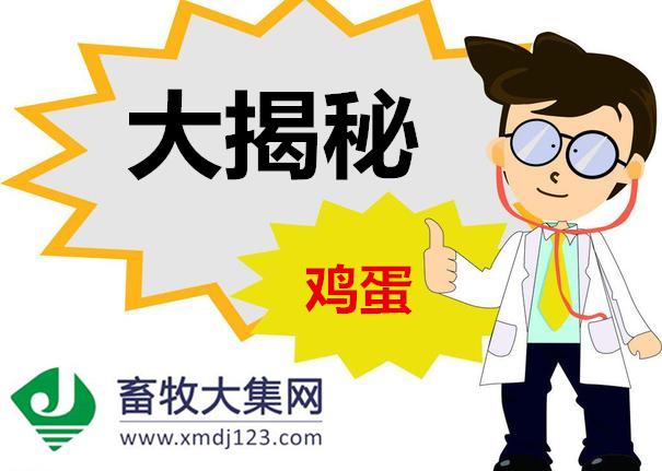 红壳鸡蛋与白壳鸡蛋功效有区别吗,鸡蛋白壳与红壳有什么区别