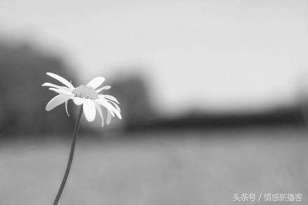 我设下圈套抓住盗我微信头像的“包小姐”，她却说我下贱不要脸