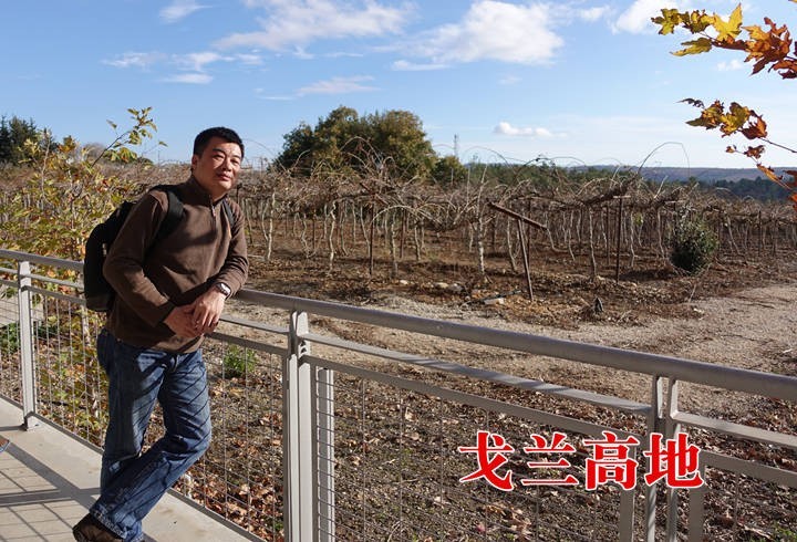 钁¤悇閰掍睛鎺㈡墍,钁¤悇閰掑悕渚︽帰鏌崡