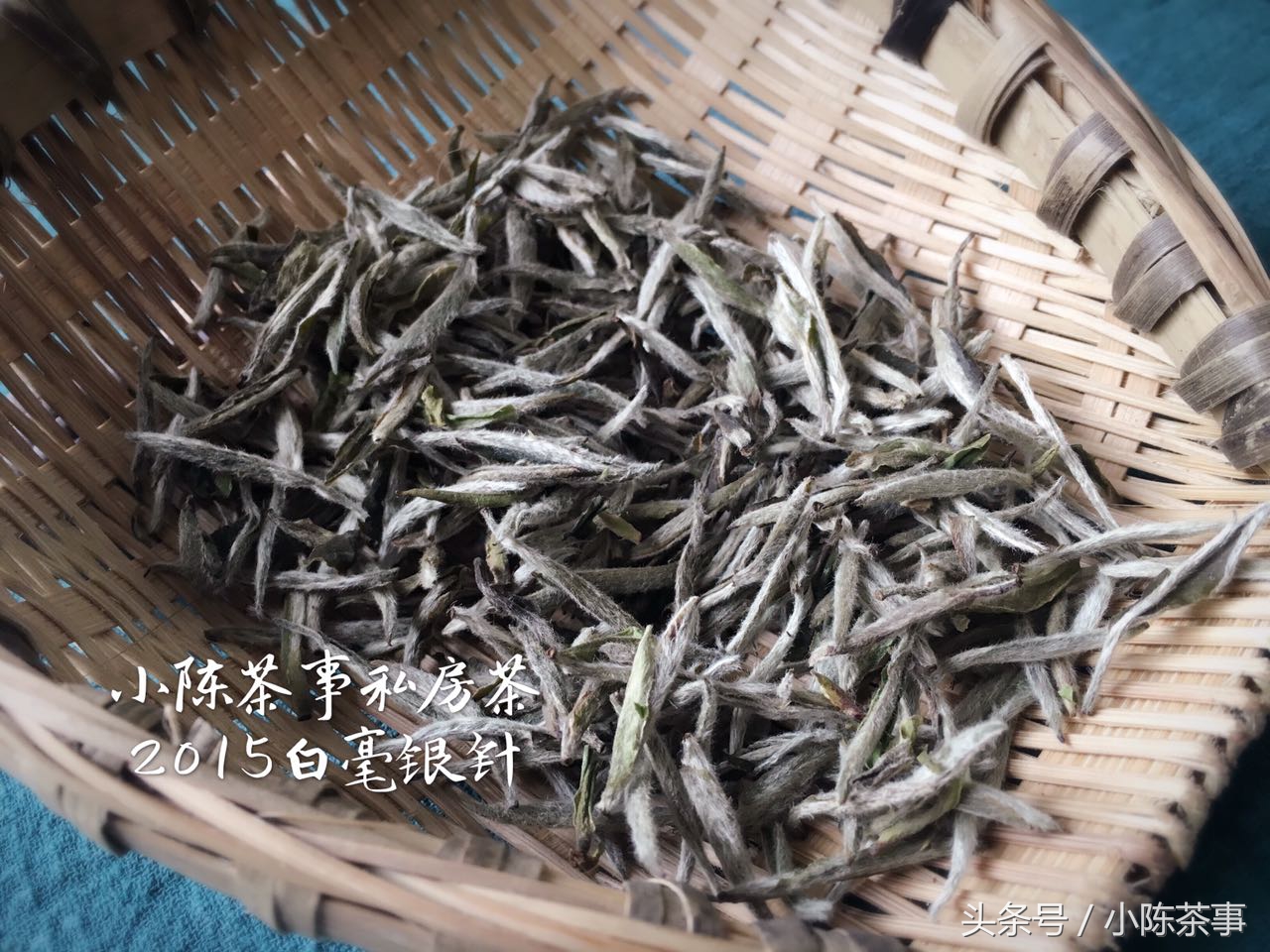 什么是老白茶新白茶,老中医白茶