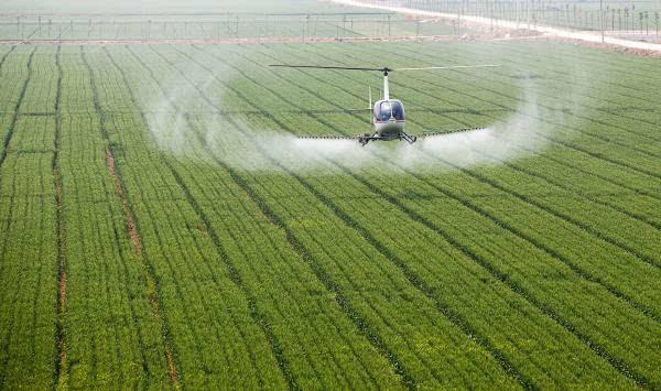 农业种植补贴2023政策趋势,今年农业项目有哪些新政策