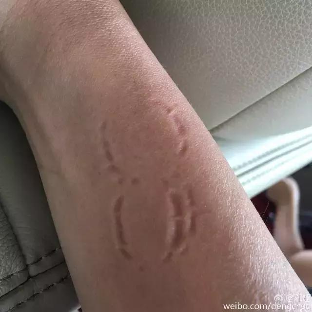 孙俪邓超霍建华林心如,林心如和霍建华的照片和孩子