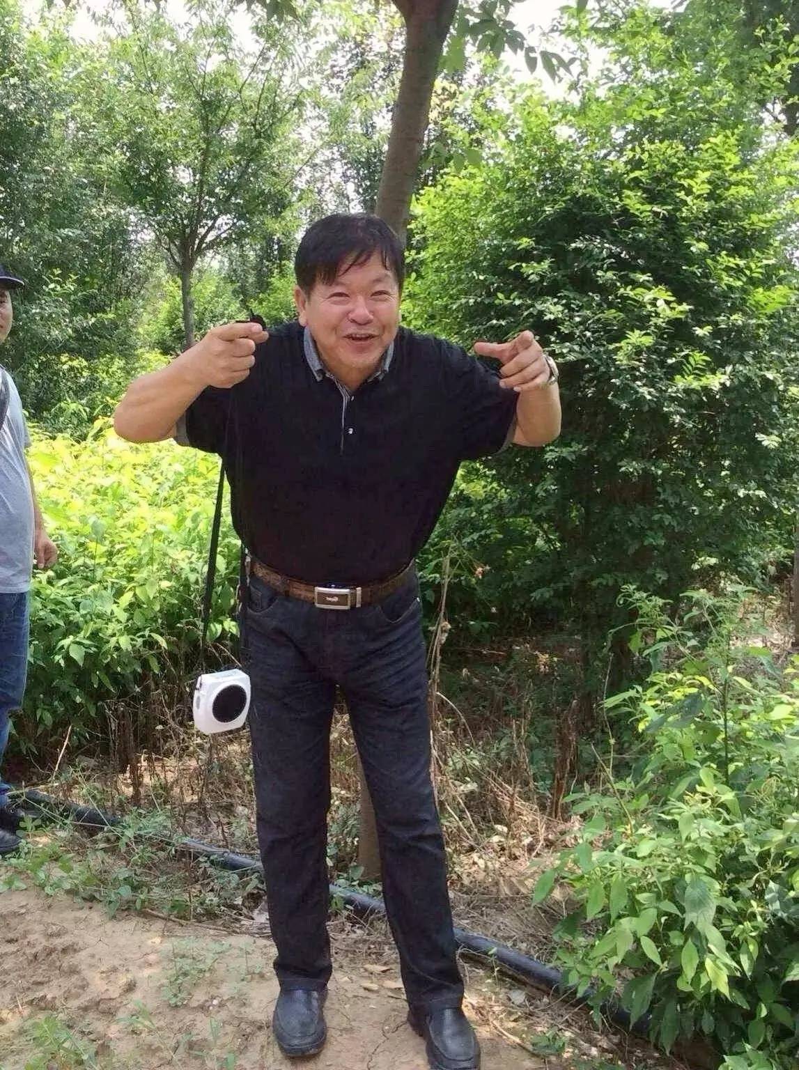 苗木那些事,山东苗木现状分析