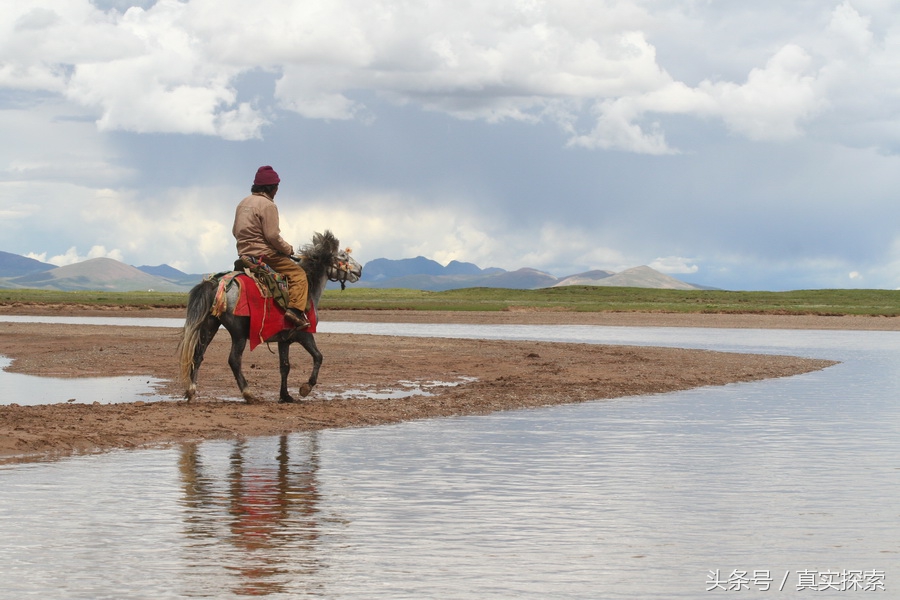 荒野求生秘籍完整版,荒野自救教程