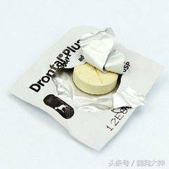 小狗吃驱虫药呕吐拉稀,狗狗吃了驱虫药拉稀呕吐怎么办