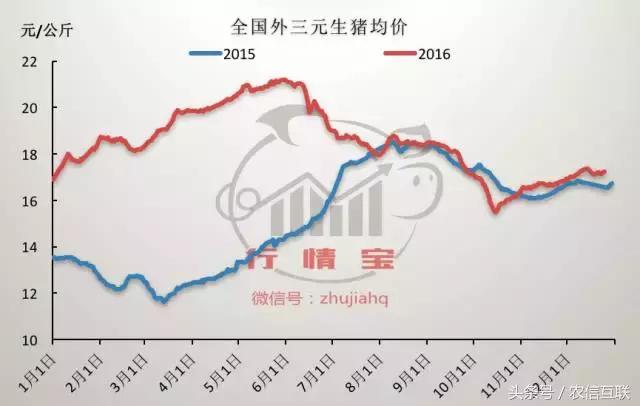 2019下半年猪价还能涨到多少,2019年猪价走势如何