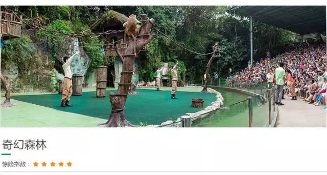 长隆攻略水上乐园和大马戏,广州长隆动物世界旅游攻略