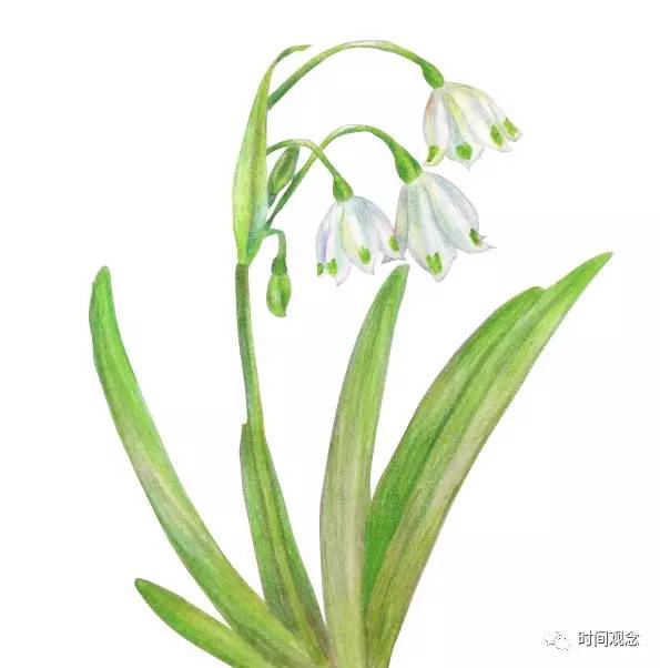 时间观念：每一分每一秒都有Ta相伴才是真正的幸运