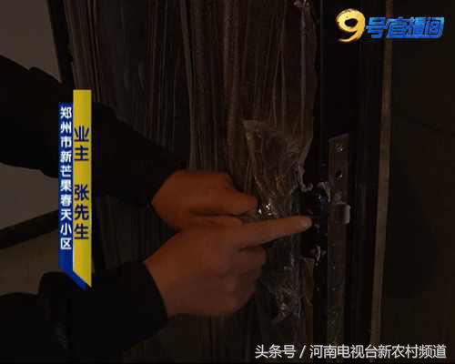 什么芒果是又脆又甜的,什么芒果又香又黄