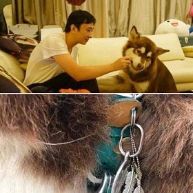 权志龙戴手表视频,韩星李洙赫权志龙