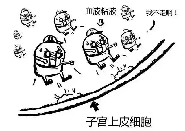 狗发情流血可怕？了解春季狗狗的发情期，不让你尴尬不让狗生病