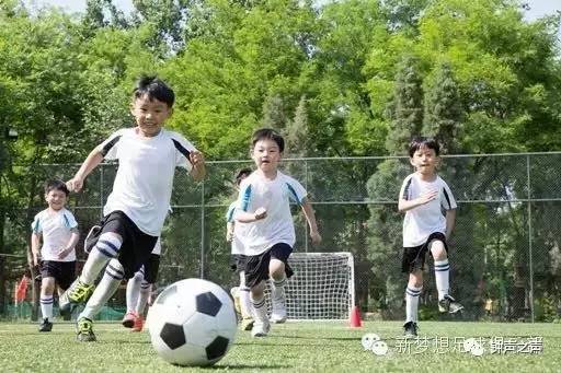 “会遇到困难但都很新鲜”新梦想阳光创始人官洪仙访谈