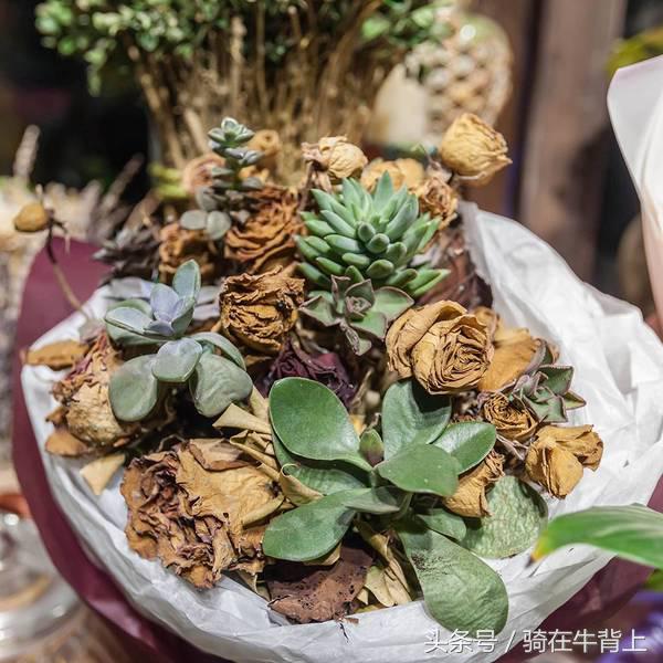 乾隆六下江南去的是哪些地方,徐志摩家乡旅游攻略