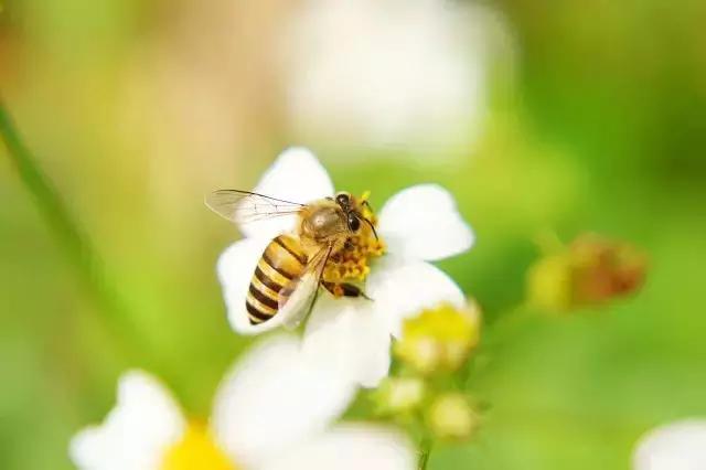 旗溪生活农场团购,旗溪生活农场