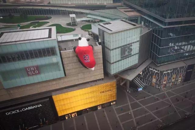 成都ifs熊猫叫什么名字,成都ifs熊猫的看点是什么