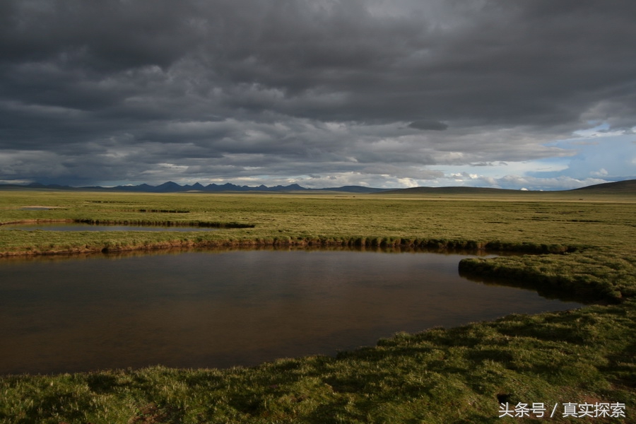 荒野求生秘籍完整版,荒野自救教程