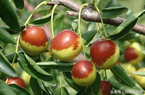 食欲不振胃胀解决的方法,胃炎吃饭后反酸怎么回事