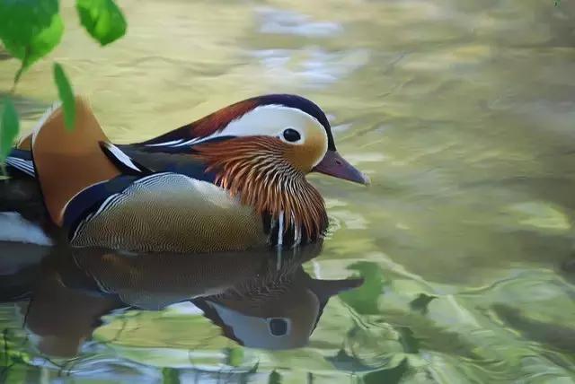 浜氭床寤変环鑸┖瀹樼綉,鎮﹁娉板浗鏃呰