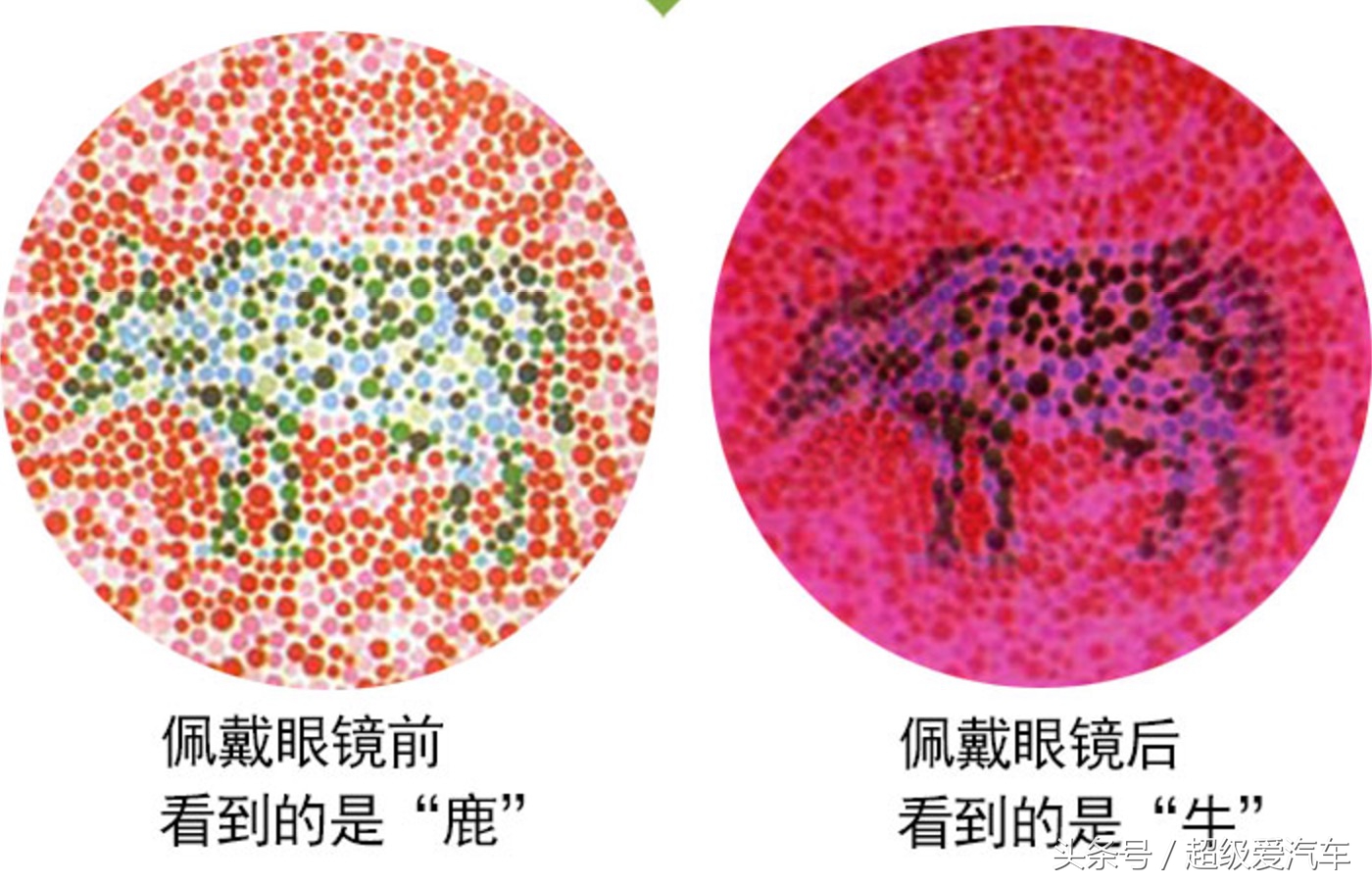 色盲通不过驾照体检怎么办,色盲驾驶证体检不过怎么办