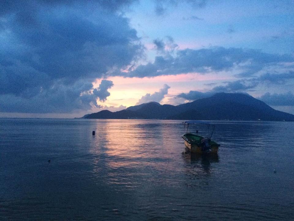 深圳哪里有大片的花海可以欣赏,深圳的花海有多美