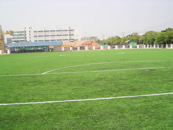 足球场球迷疯狂闯进场内,足球疯狂球迷冲场庆祝