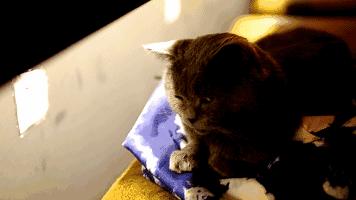 贵阳市区晚餐,贵阳白云区推荐晚餐