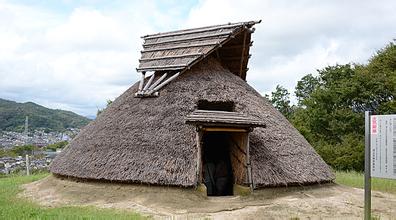 日本人吃生冷的不伤脾胃吗,日本人为什么喜欢吃生冷食物