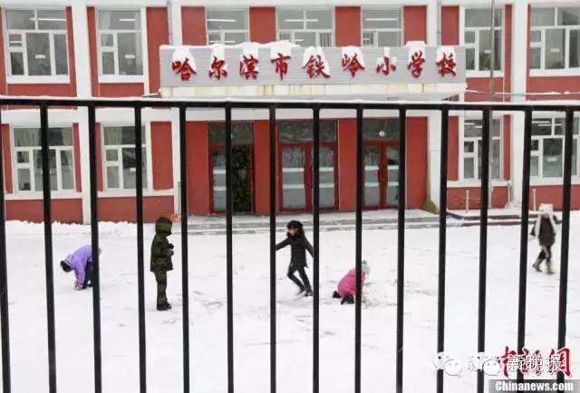 快递小乔哪年春晚,春晚小品快递小乔2016