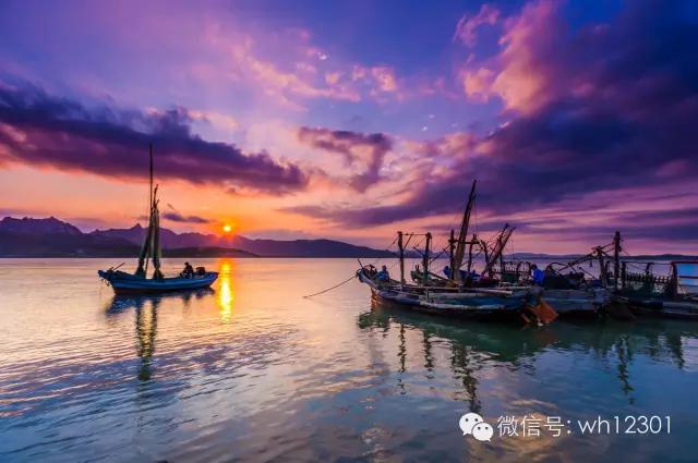 威海有毒海洋生物,威海有毒的海鱼