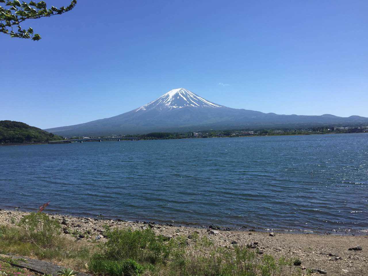 日本旅游马桶,日本旅游购物攻略一览表