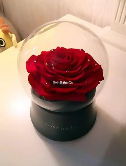 她们的情人节，虐狗指数绝对不逊于昆凌