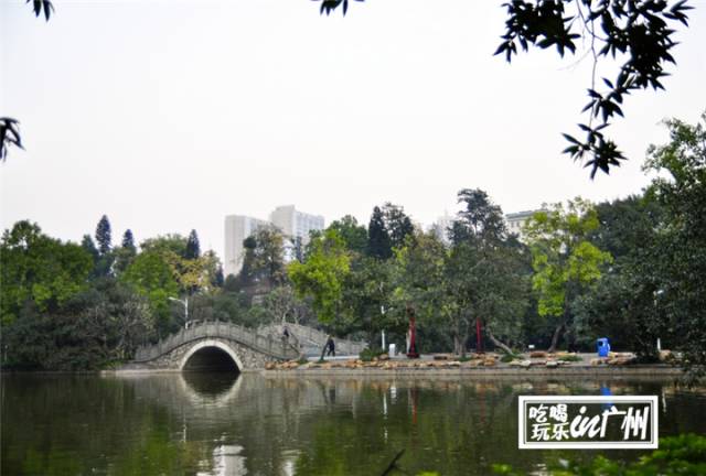 广州最新最美最好玩的景点,广州最值得去玩的景点推荐一下