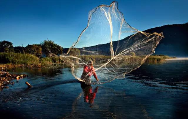 休闲起来，鱼也能赚大钱！
