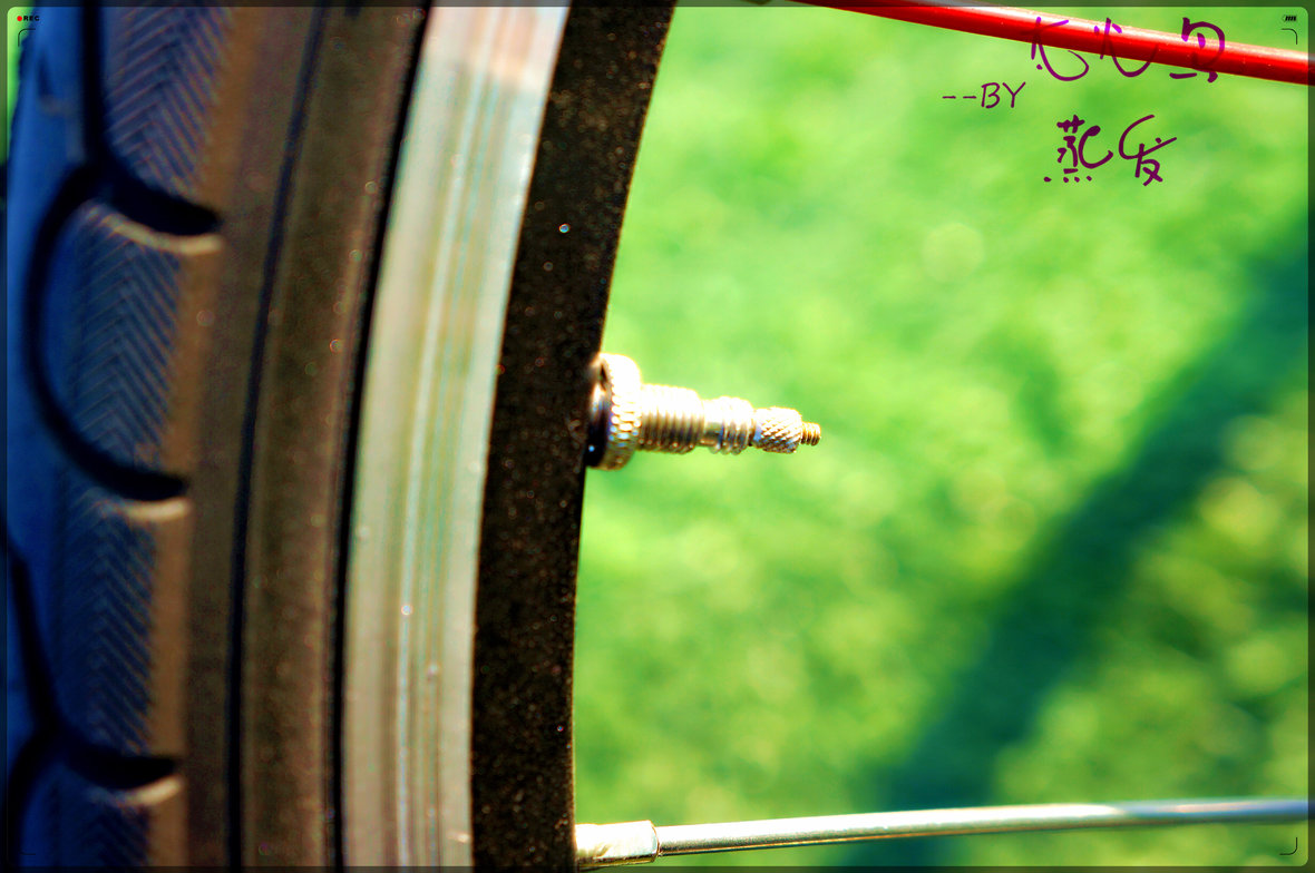 浜戦┈c1娴嬭瘎,浜戦┈c1缂虹偣