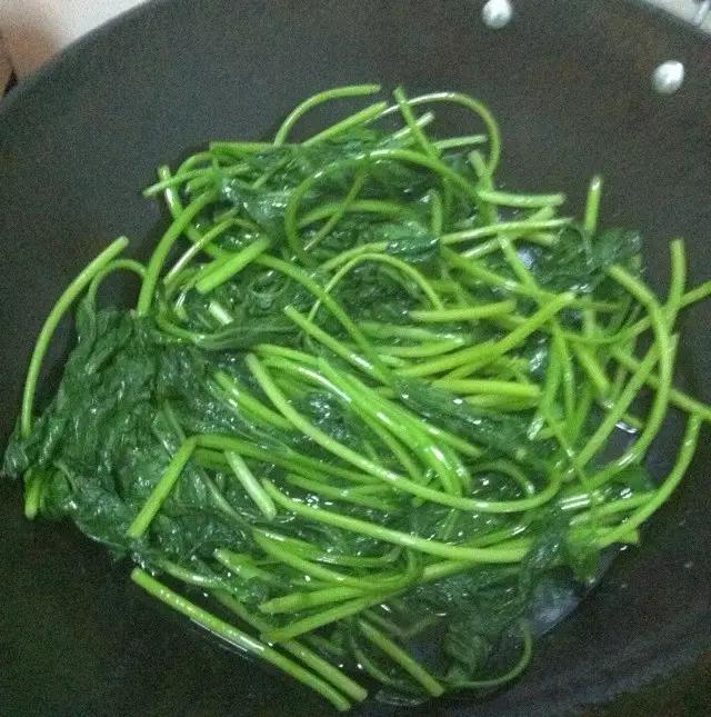 叶子像蒲公英根像人参是什么植物 (哪几种树的叶子可以当菜吃)