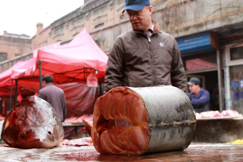鳇鱼几千一斤,大鳇鱼贵不贵