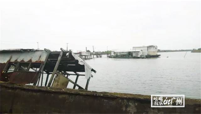 广州最新最美最好玩的景点,广州最值得去玩的景点推荐一下