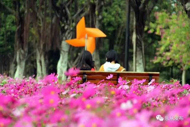 您好，2017年｜阳光灿烂，花果飘香，迎新年这些地方你不得不去！