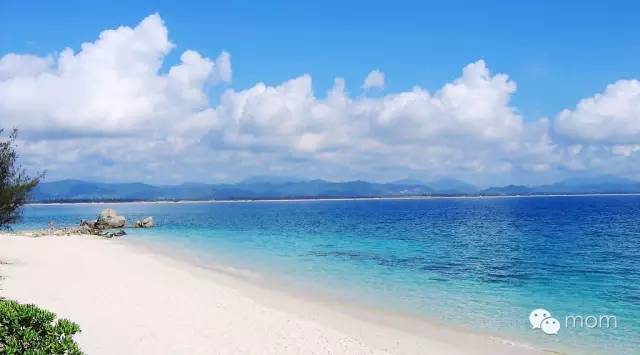 中国每个季节的旅游攻略 (中国一年四季的旅游攻略)