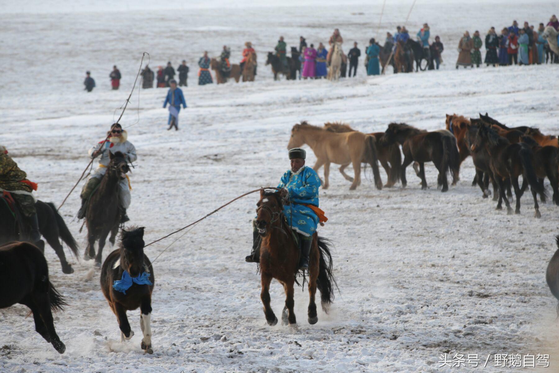 锡林郭勒盟那达慕自驾攻略,锡林郭勒冰雪那达慕完整版