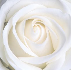 女孩子生理必备知识,女生需要注意的生理小知识