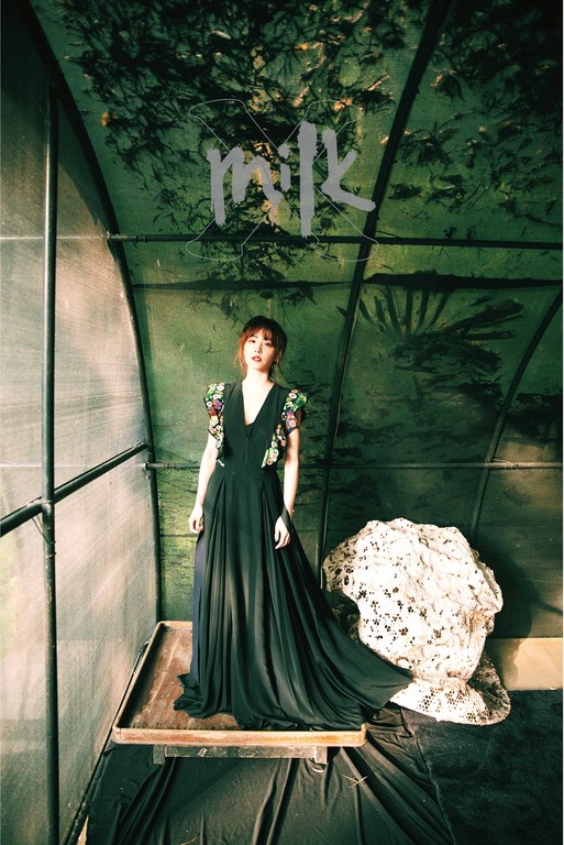 蔡依林打败周杰伦获最佳专辑,蔡依林金曲奖打败周杰伦