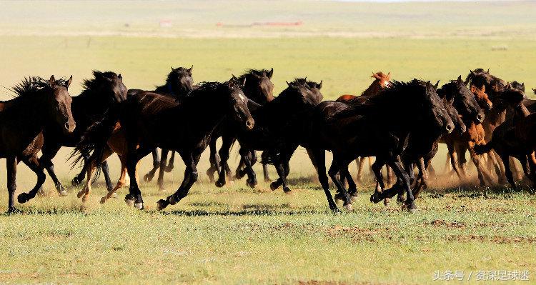 世界杯扩军至48支怎么分组,fifa宣布参赛