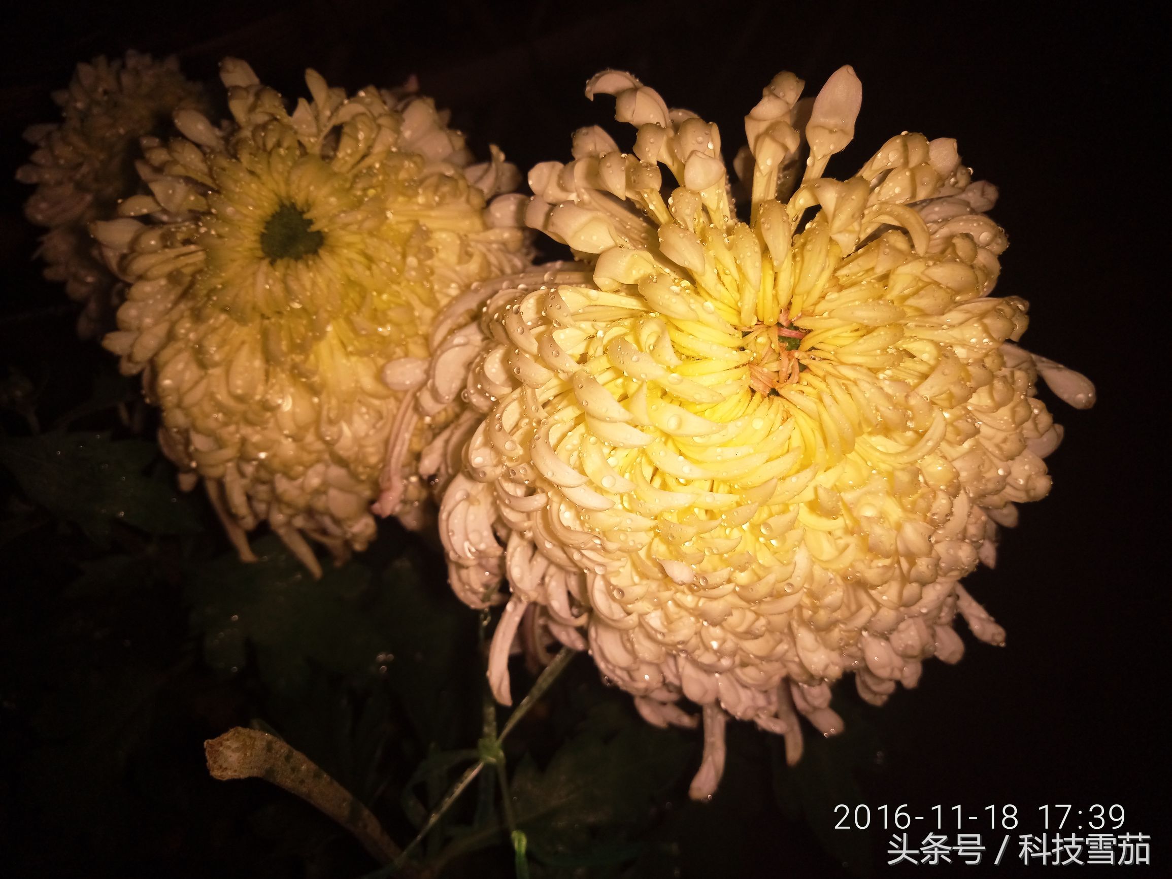 pro6颜值有多高,第五代pro6