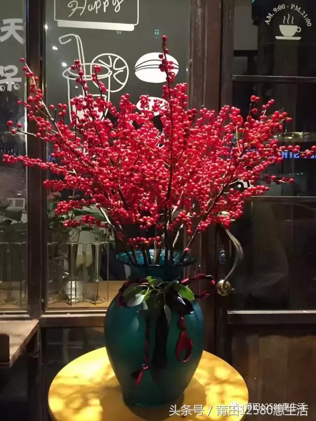 这个时候莆田哪里可以赏花,莆田春天哪里赏花